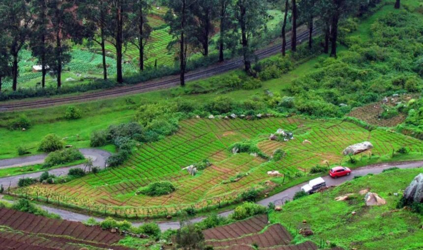 Ooty Coorg 6N