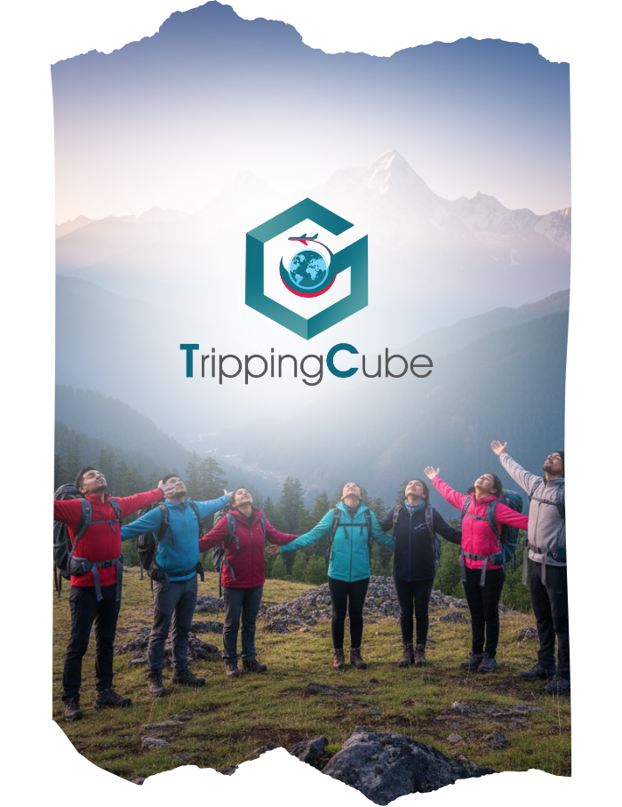 TrippingCube