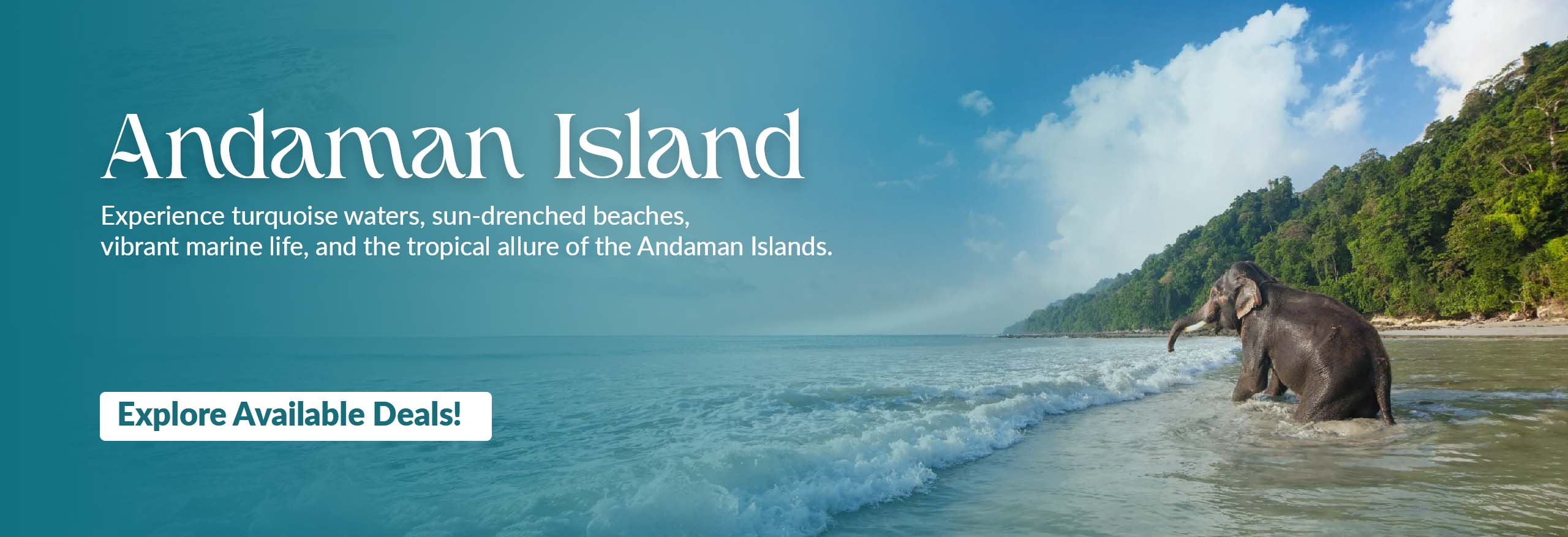 Andaman Islands.jpg