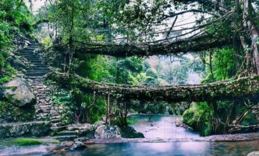 Meghalaya Trip – Shillong, Cherrapunji & Mawlyngbna (10 Days / 9 Nights)